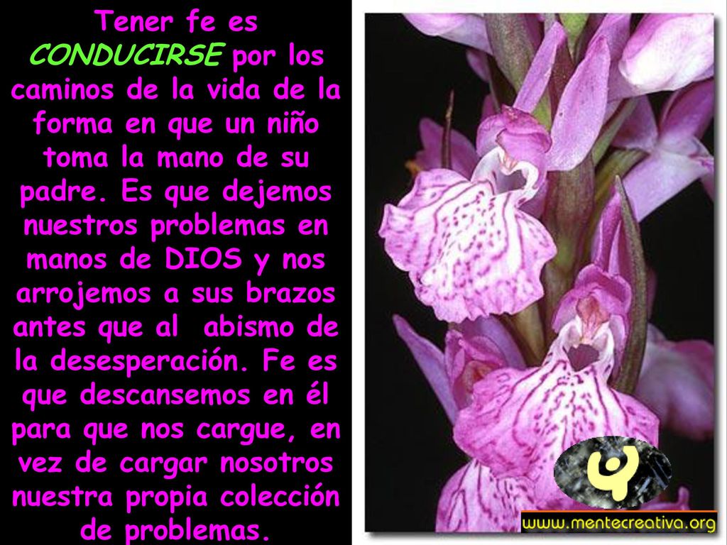 Tener fe es CONDUCIRSE por los caminos de la vida de la forma en que un niño toma la mano de su padre.