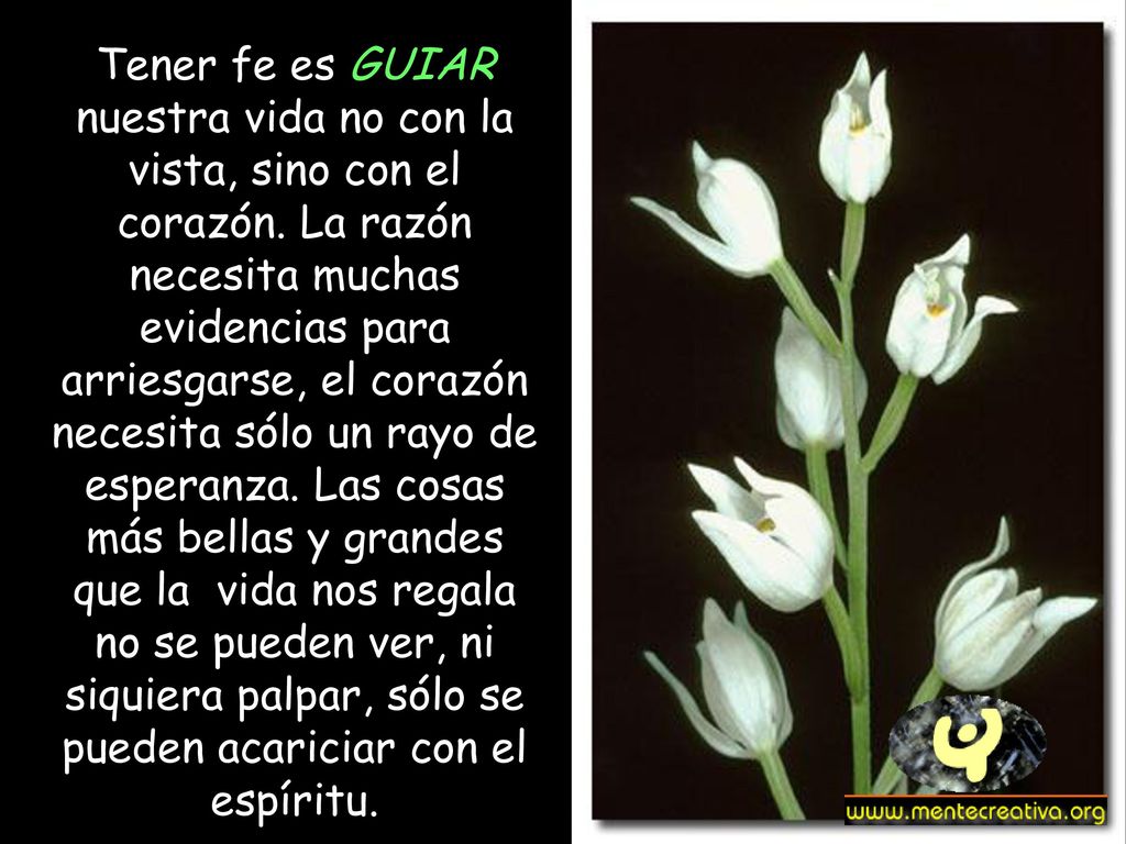 Tener fe es GUIAR nuestra vida no con la vista, sino con el corazón