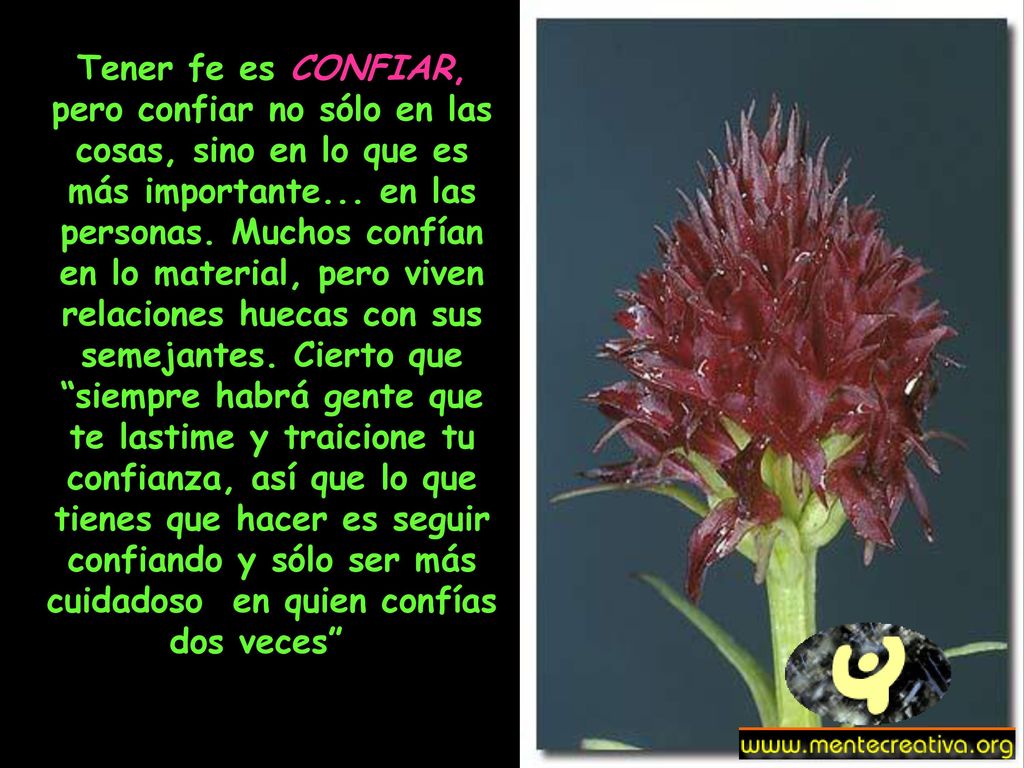 Tener fe es CONFIAR, pero confiar no sólo en las cosas, sino en lo que es más importante...