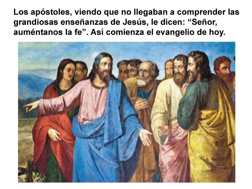Hoy el evangelio comienza con una petición de los apóstoles a Jesús, muy propia para nosotros antes de que se termine el año de la fe . Jesús les estaba enseñando actitudes importantes para quien quiera ser su discípulo, como la actitud de perdón.