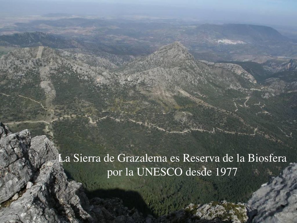 La Sierra de Grazalema es Reserva de la Biosfera por la UNESCO desde 1977