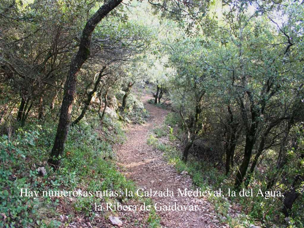 Hay numerosas rutas: la Calzada Medieval, la del Agua, la Ribera de Gaidovar…