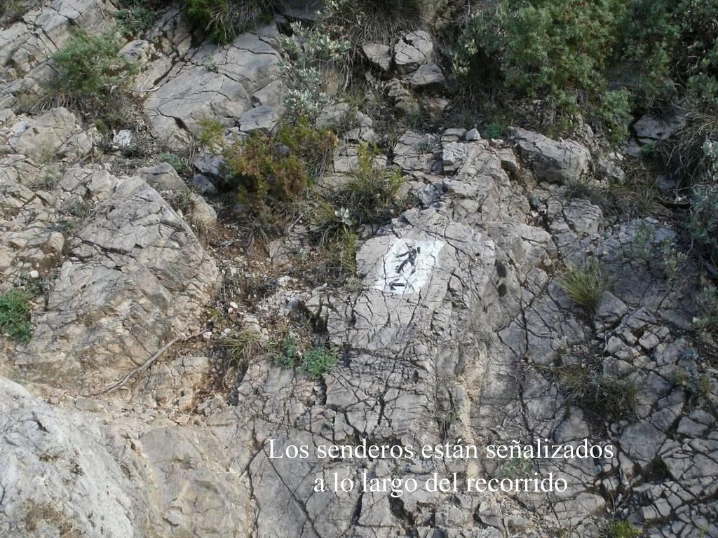 Los senderos están señalizados a lo largo del recorrido