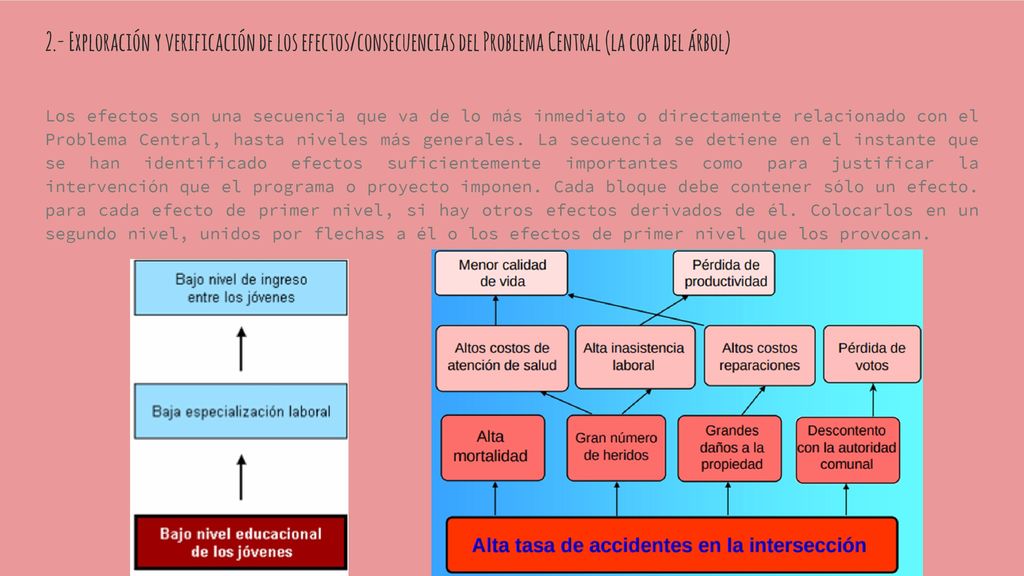 2.- Exploración y verificación de los efectos/consecuencias del Problema Central (la copa del árbol)
