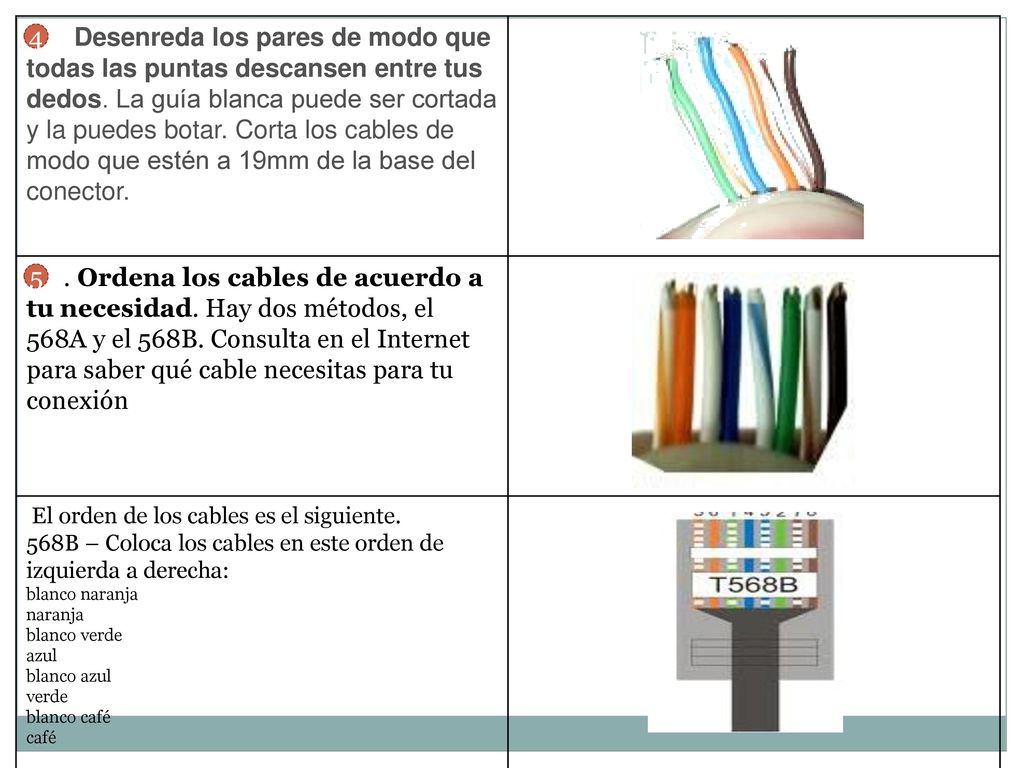.Desenreda los pares de modo que todas las puntas descansen entre tus dedos. La guía blanca puede ser cortada y la puedes botar. Corta los cables de modo que estén a 19mm de la base del conector.