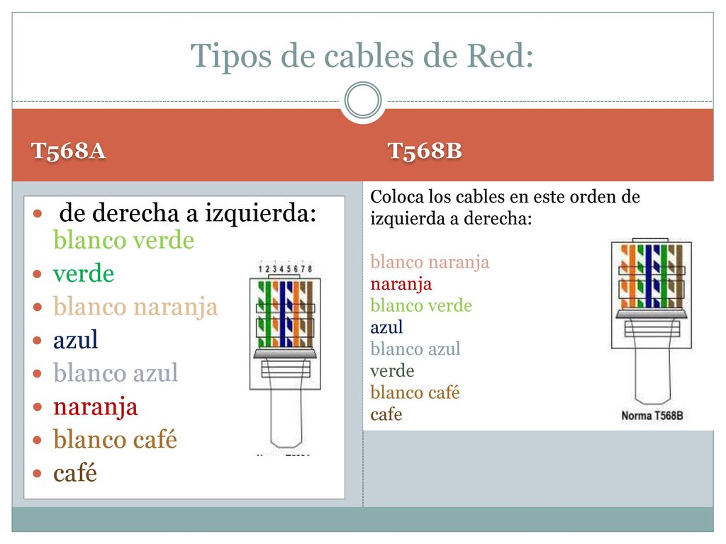 Tipos de cables de Red: de derecha a izquierda: blanco verde verde