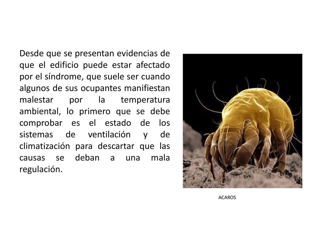 Desde que se presentan evidencias de que el edificio puede estar afectado por el síndrome, que suele ser cuando algunos de sus ocupantes manifiestan malestar por la temperatura ambiental, lo primero que se debe comprobar es el estado de los sistemas de ventilación y de climatización para descartar que las causas se deban a una mala regulación.