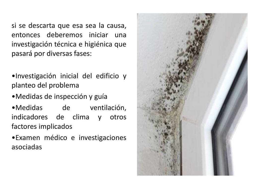 si se descarta que esa sea la causa, entonces deberemos iniciar una investigación técnica e higiénica que pasará por diversas fases: