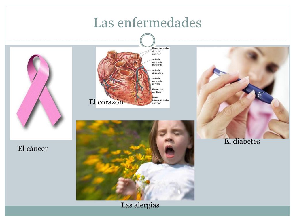 Las enfermedades El corazón El diabetes El cáncer Las alergias