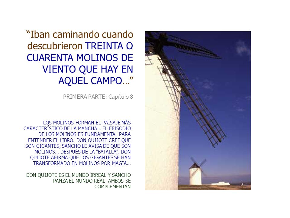 Iban caminando cuando descubrieron TREINTA O CUARENTA MOLINOS DE VIENTO QUE HAY EN AQUEL CAMPO…