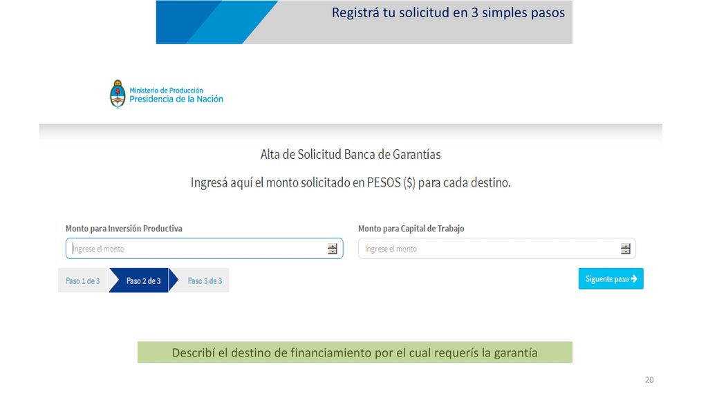 Describí el destino de financiamiento por el cual requerís la garantía