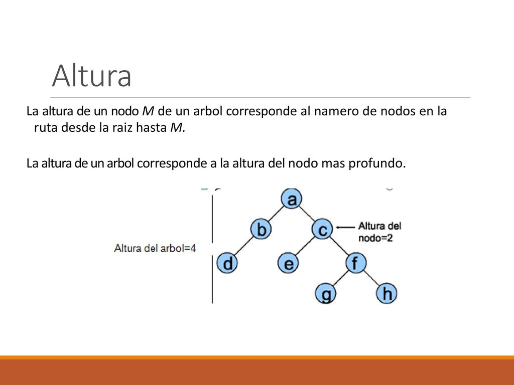Altura La altura de un nodo M de un arbol corresponde al namero de nodos en la ruta desde la raiz hasta M.