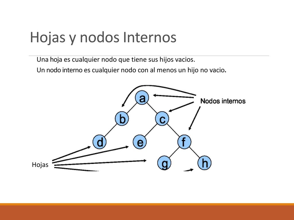 Hojas y nodos Internos Una hoja es cualquier nodo que tiene sus hijos vacios. Un nodo interno es cualquier nodo con al menos un hijo no vacio.