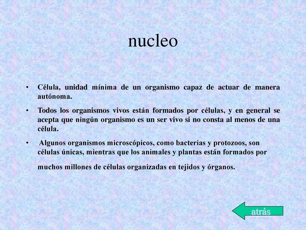 nucleo Célula, unidad mínima de un organismo capaz de actuar de manera autónoma.