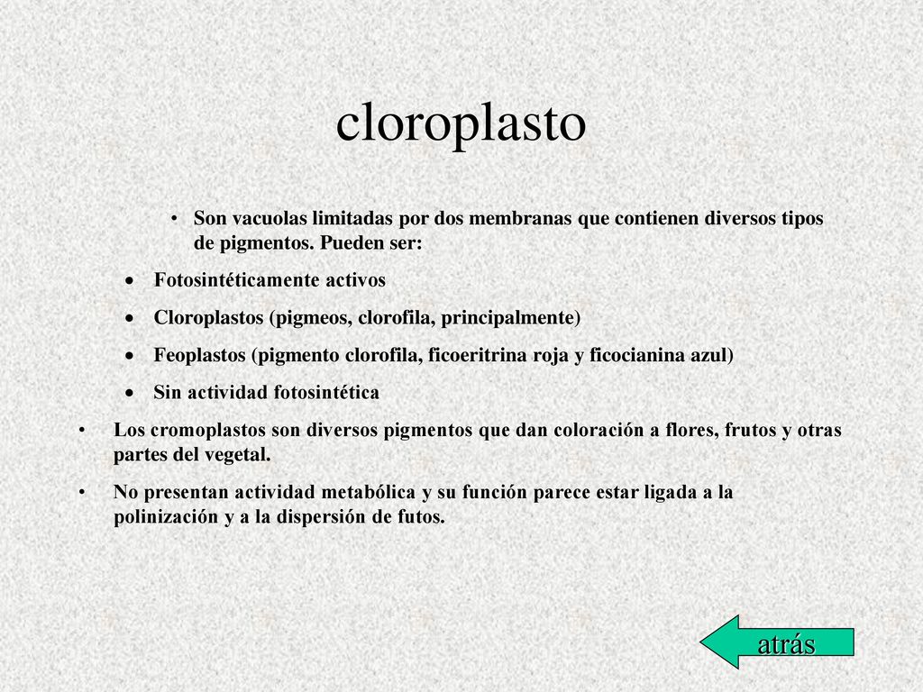 cloroplasto Son vacuolas limitadas por dos membranas que contienen diversos tipos de pigmentos. Pueden ser: