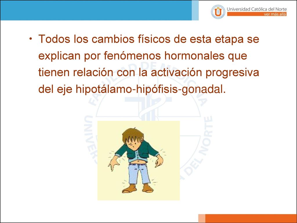 Todos los cambios físicos de esta etapa se explican por fenómenos hormonales que tienen relación con la activación progresiva del eje hipotálamo-hipófisis-gonadal.