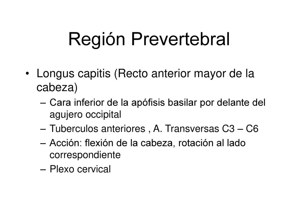 Región Prevertebral Longus capitis (Recto anterior mayor de la cabeza)