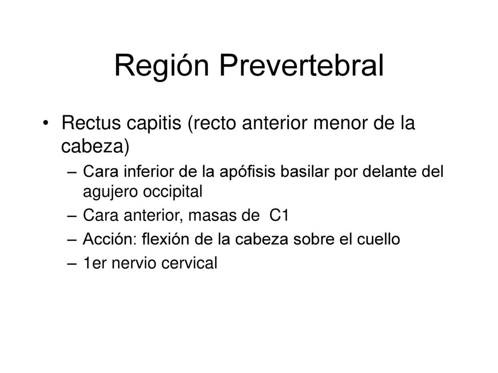 Región Prevertebral Rectus capitis (recto anterior menor de la cabeza)