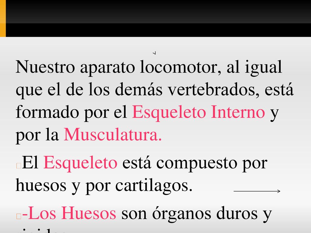 Nuestro aparato locomotor, al igual que el de los demás vertebrados, está formado por el Esqueleto Interno y por la Musculatura.