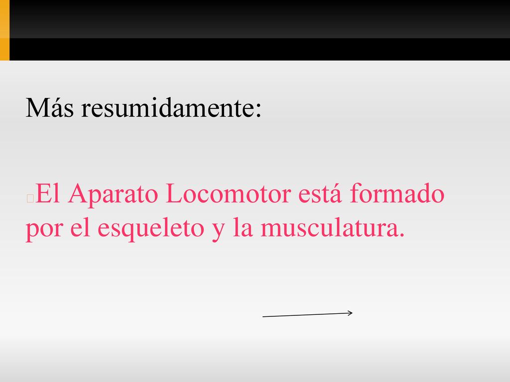 Más resumidamente: El Aparato Locomotor está formado por el esqueleto y la musculatura.