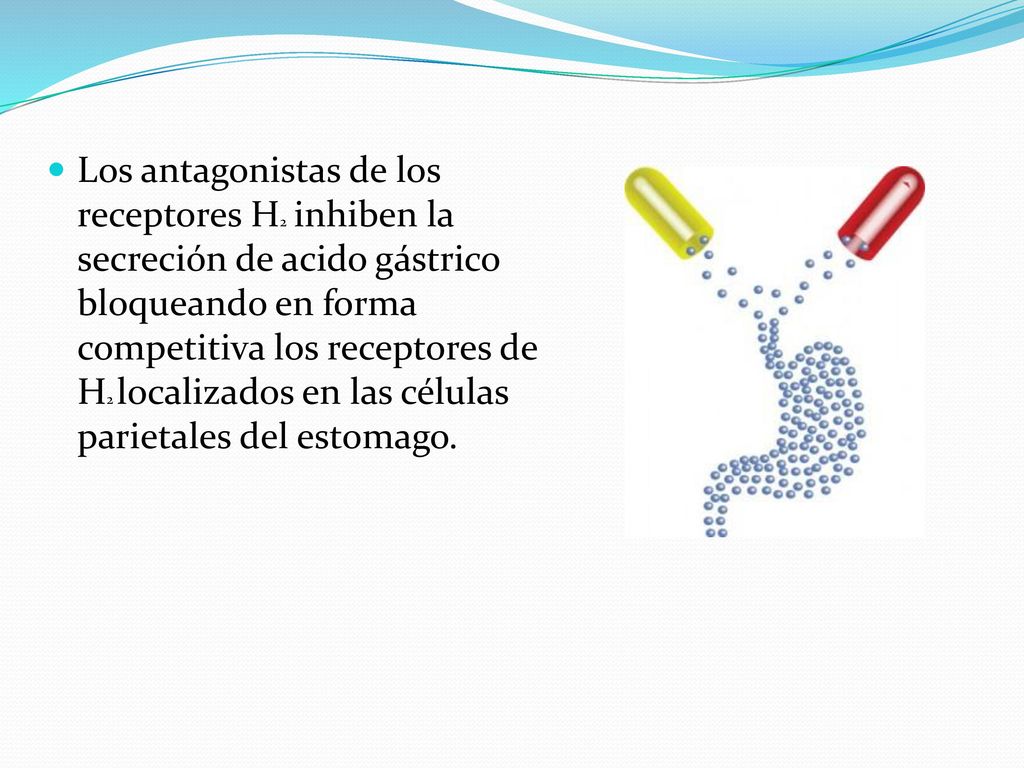 Los antagonistas de los receptores H2 inhiben la secreción de acido gástrico bloqueando en forma competitiva los receptores de H2 localizados en las células parietales del estomago.