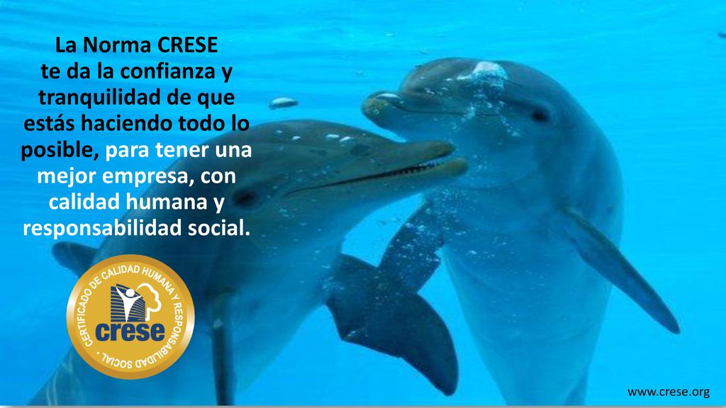 La Norma CRESE te da la confianza y tranquilidad de que estás haciendo todo lo posible, para tener una mejor empresa, con calidad humana y responsabilidad social.