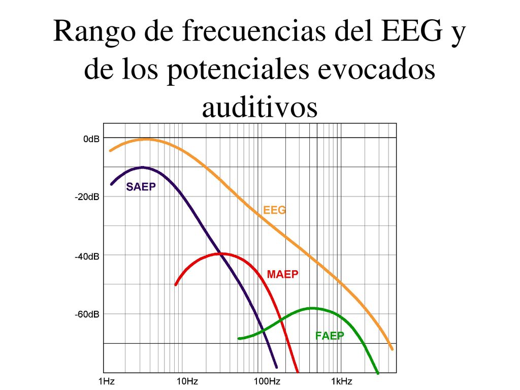 Rango de frecuencias del EEG y de los potenciales evocados auditivos