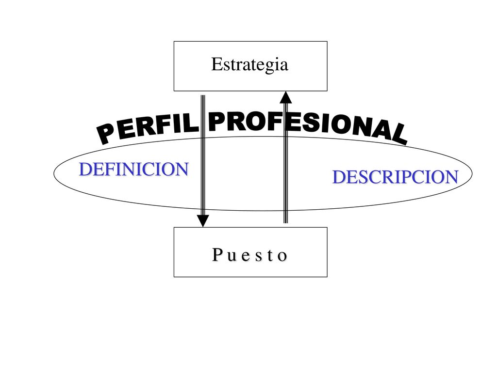 Estrategia PERFIL PROFESIONAL DEFINICION DESCRIPCION P u e s t o