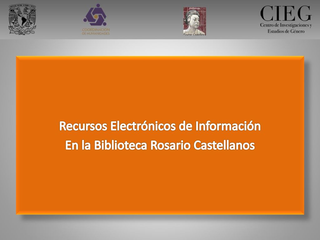 Recursos Electrónicos de Información En la Biblioteca Rosario Castellanos