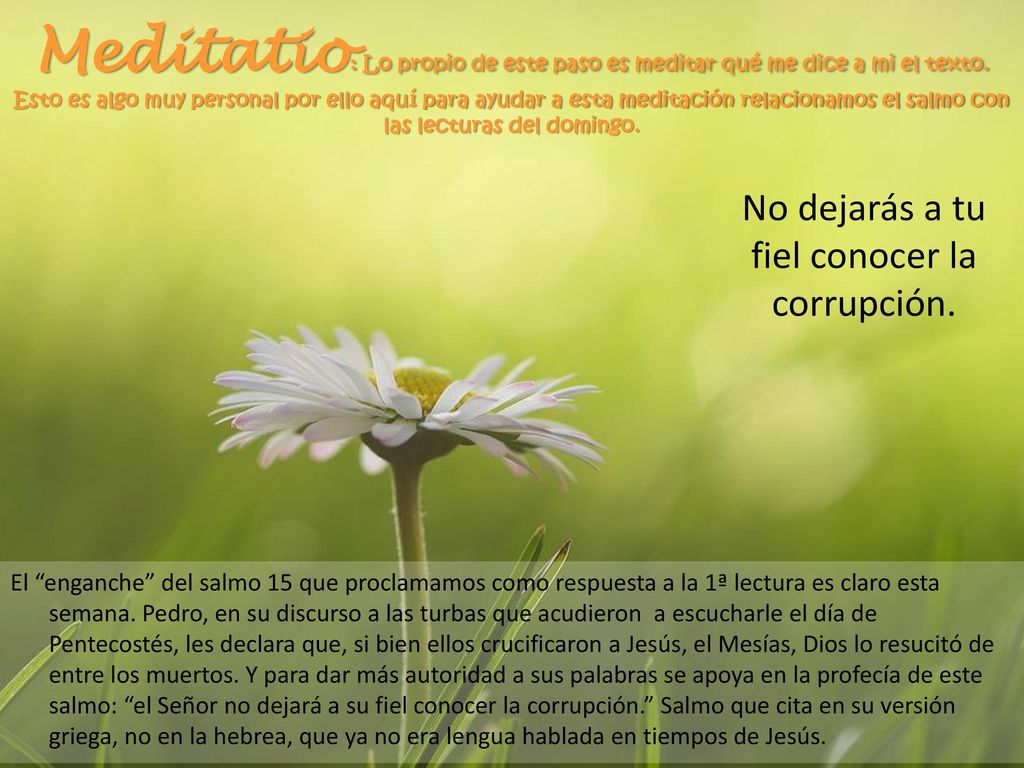 No dejarás a tu fiel conocer la corrupción.
