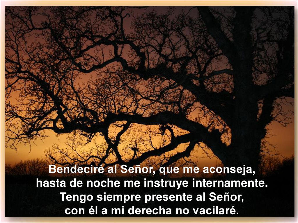 Bendeciré al Señor, que me aconseja, hasta de noche me instruye internamente.