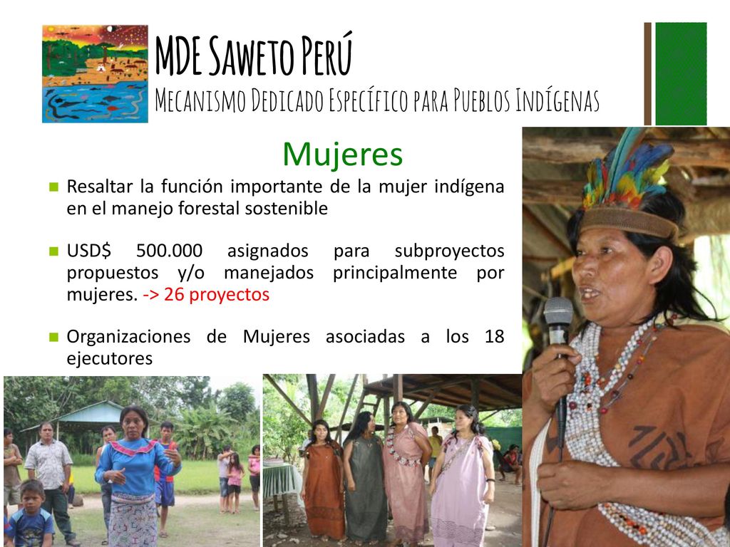 Mujeres Resaltar la función importante de la mujer indígena en el manejo forestal sostenible.