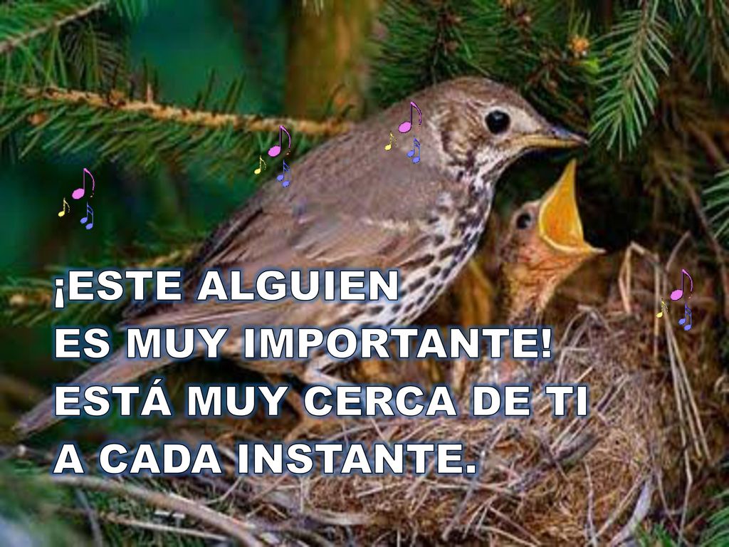 ¡ESTE ALGUIEN ES MUY IMPORTANTE! ESTÁ MUY CERCA DE TI A CADA INSTANTE.