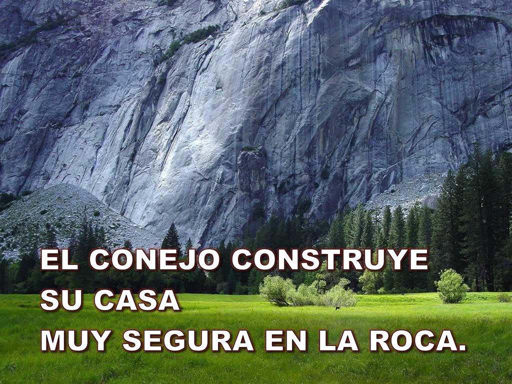 EL CONEJO CONSTRUYE SU CASA MUY SEGURA EN LA ROCA.