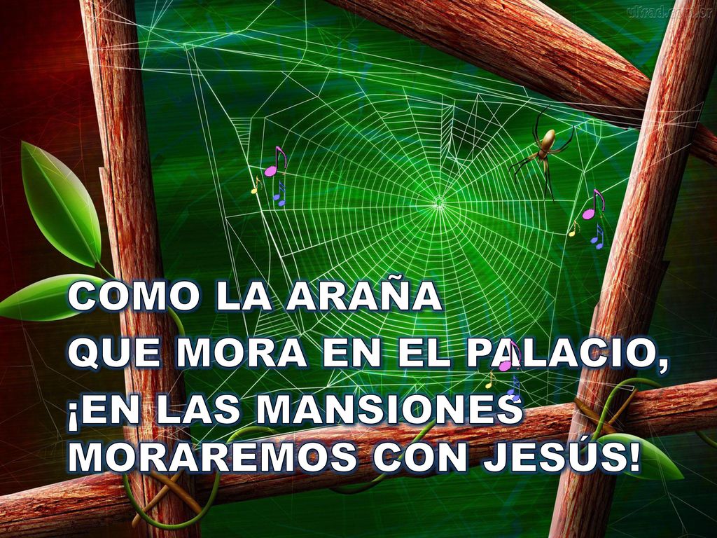 COMO LA ARAÑA QUE MORA EN EL PALACIO, ¡EN LAS MANSIONES MORAREMOS CON JESÚS!
