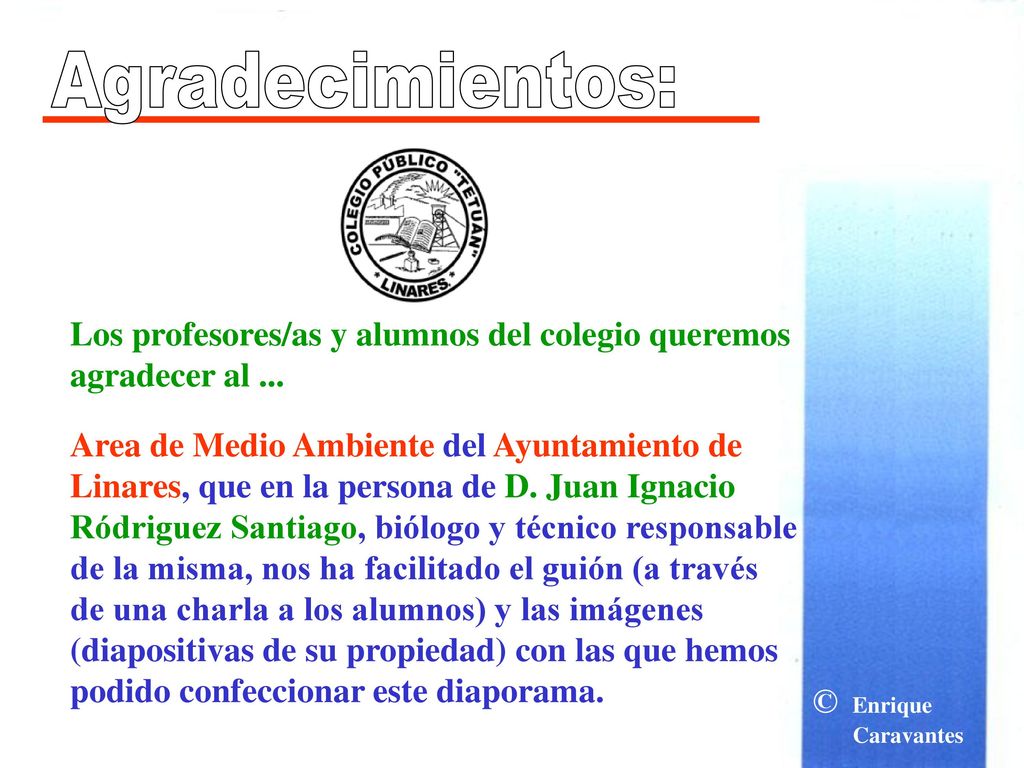 Agradecimientos: Los profesores/as y alumnos del colegio queremos agradecer al ...