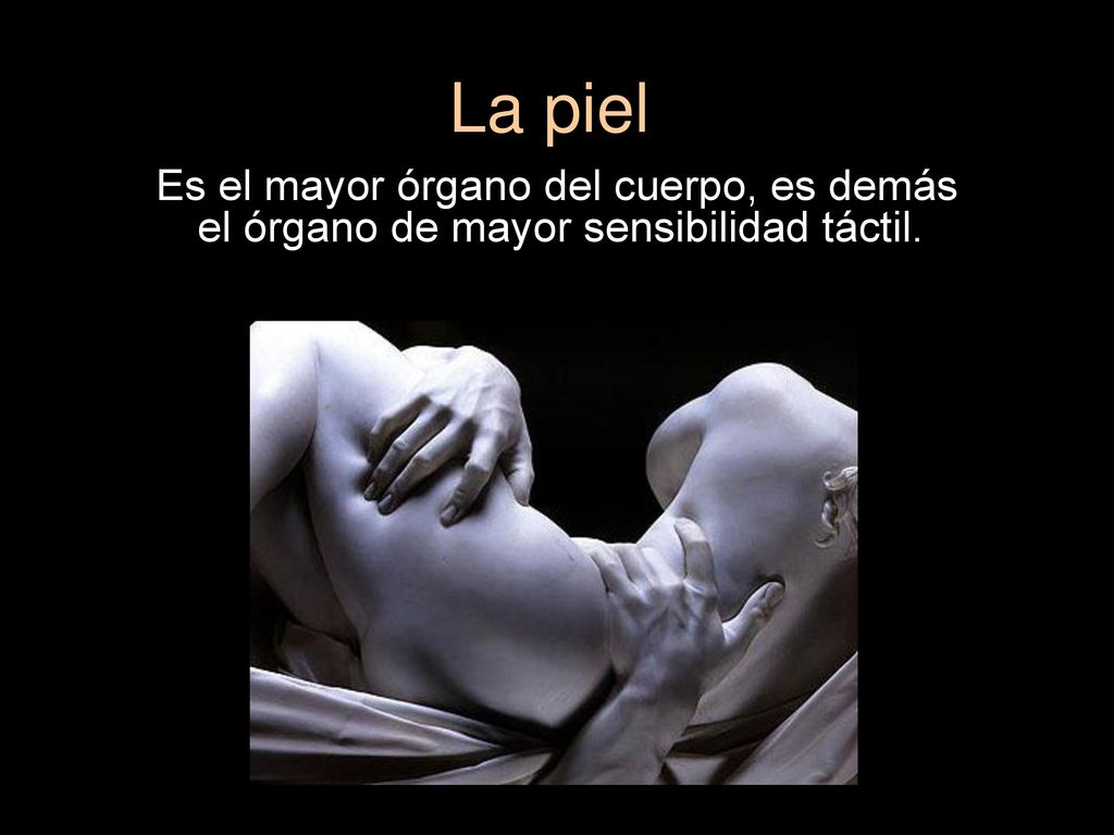La piel Es el mayor órgano del cuerpo, es demás el órgano de mayor sensibilidad táctil.