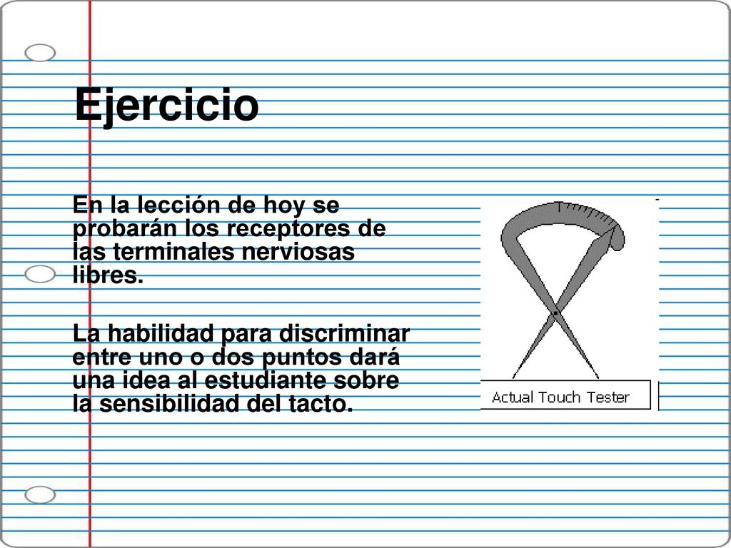 Ejercicio En la lección de hoy se probarán los receptores de las terminales nerviosas libres.