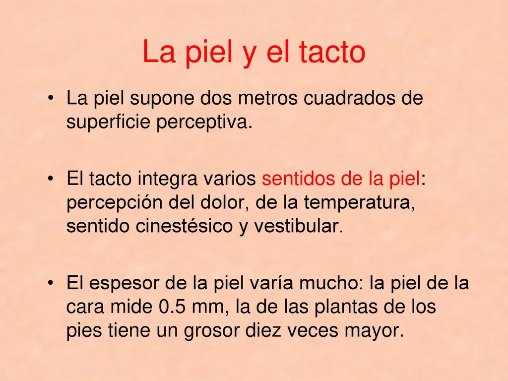 La piel y el tacto La piel supone dos metros cuadrados de superficie perceptiva.