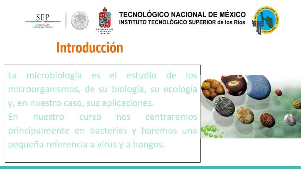 Introducción La microbiología es el estudio de los microorganismos, de su biología, su ecología y, en nuestro caso, sus aplicaciones.
