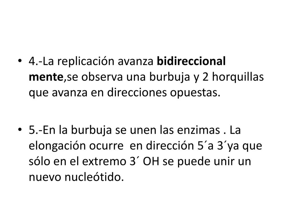 4.-La replicación avanza bidireccional mente,se observa una burbuja y 2 horquillas que avanza en direcciones opuestas.