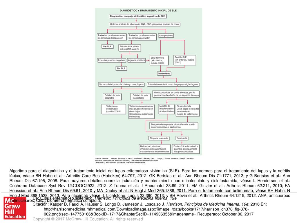 Algoritmo para el diagnóstico y el tratamiento inicial del lupus eritematoso sistémico (SLE). Para las normas para el tratamiento del lupus y la nefritis lúpica, véase BH Hahn et al.: Arthritis Care Res (Hoboken) 64:797, 2012; GK Bertsias et al.: Ann Rheum Dis 71:1771, 2012; y G Bertsias et al.: Ann Rheum Dis 67:195, Para mayores detalles sobre la inducción y mantenimiento con micofenolato y ciclofosfamida, véase L Henderson et al.: Cochrane Database Syst Rev 12:CDOO2922, 2012; Z Touma et al.: J Rheumatol 38:69, 2011; EM Ginzler et al.: Arthritis Rheum 62:211, 2010; FA Houssiau et al.: Ann Rheum Dis 69:61, 2010 y MA Dooley et al.: N Engl J Med 365:1886, Para el tratamiento con belimumab, véase BH Hahn: N Eng J Med 368:1528, Para rituximab véase, L Lightstone: Lupus 22:390, 2013; y BH Rovin et al.: Arthritis Rheum 64:1215, ANA, anticuerpos antinucleares; CBC, biometría hemática completa.