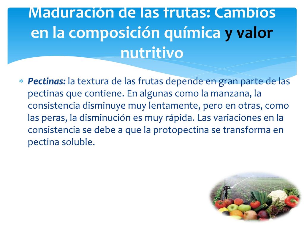 Maduración de las frutas: Cambios en la composición química y valor nutritivo