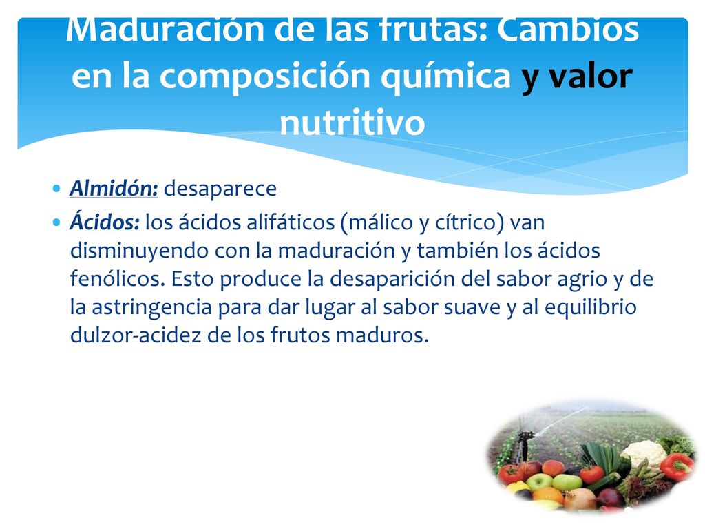 Maduración de las frutas: Cambios en la composición química y valor nutritivo