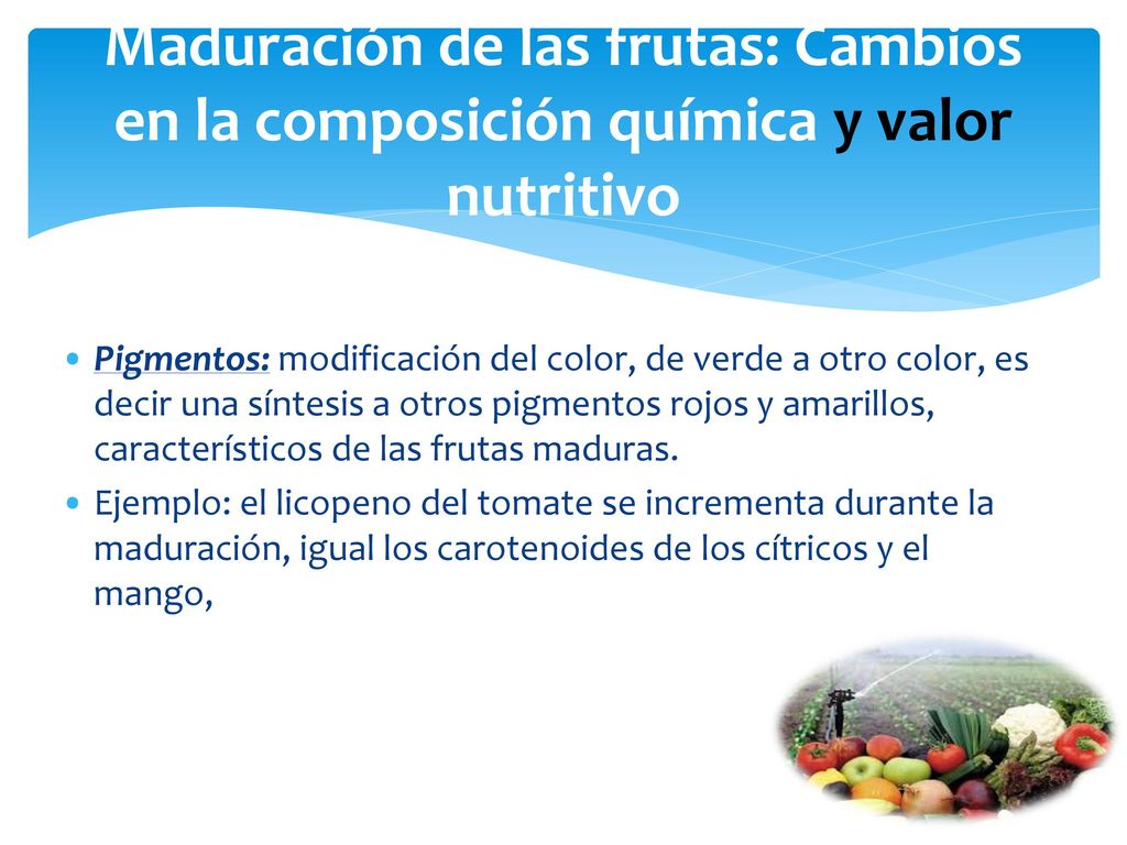 Maduración de las frutas: Cambios en la composición química y valor nutritivo