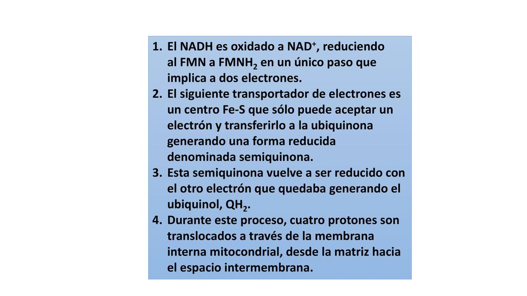 El NADH es oxidado a NAD+, reduciendo al FMN a FMNH2 en un único paso que implica a dos electrones.