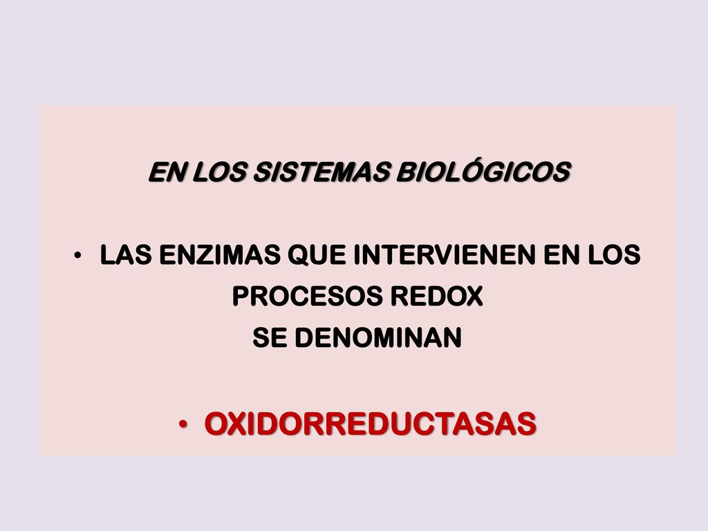 EN LOS SISTEMAS BIOLÓGICOS LAS ENZIMAS QUE INTERVIENEN EN LOS