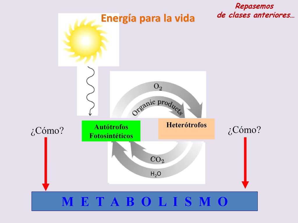 M E T A B O L I S M O Energía para la vida ¿Cómo ¿Cómo Repasemos