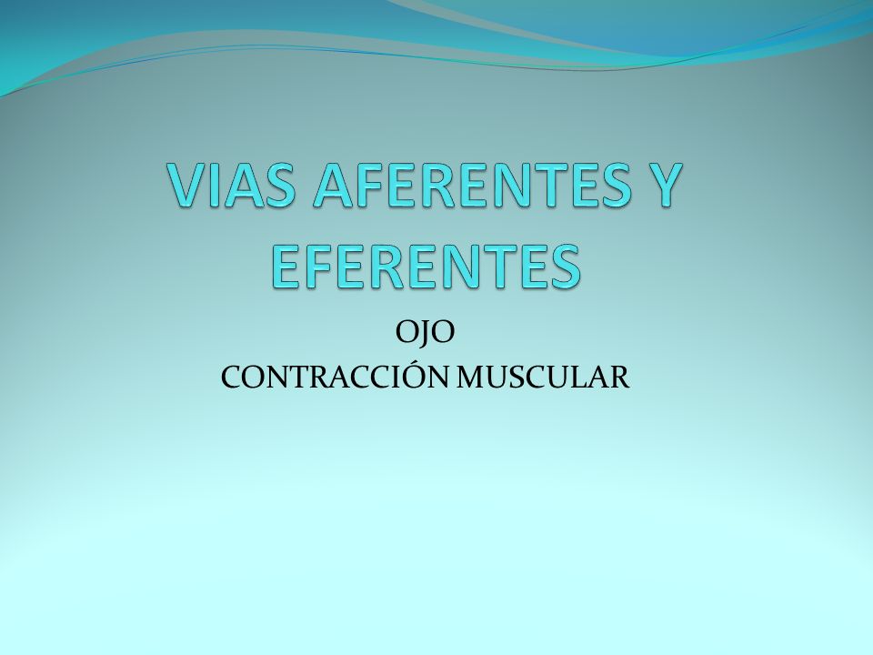 VIAS AFERENTES Y EFERENTES