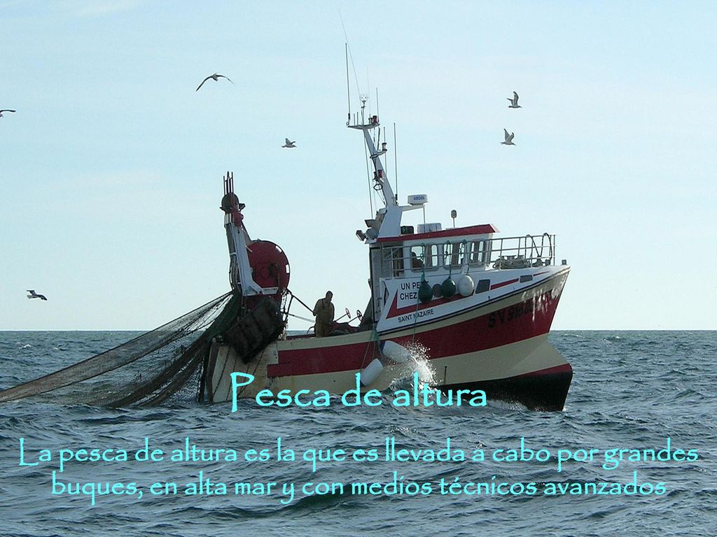 Pesca de altura La pesca de altura es la que es llevada a cabo por grandes buques, en alta mar y con medios técnicos avanzados.